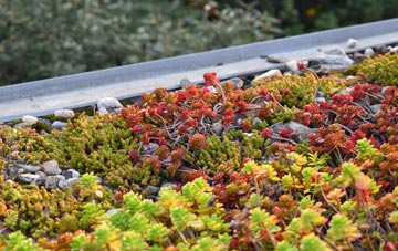 the cost of Whittonstall green roof installation