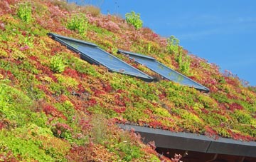 Whittonstall living roof systems